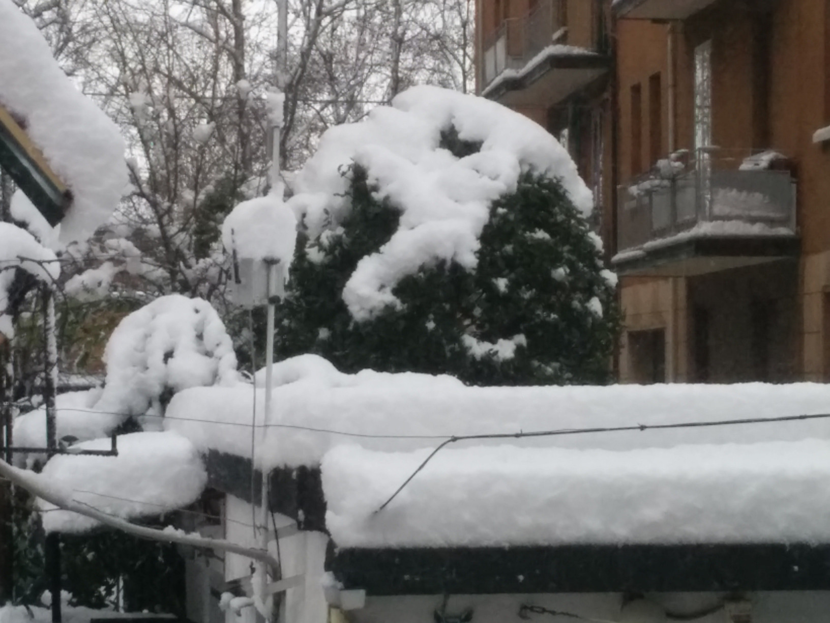 Ninux sotto la neve.jpg