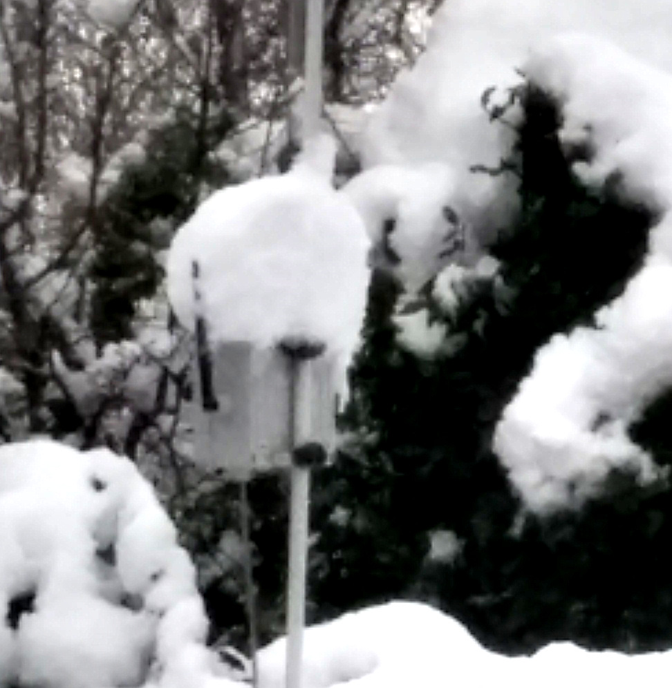 Ninux sotto la neve zoom.jpg